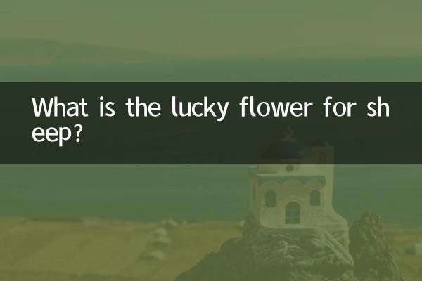 Was ist die Glücksblume für Schafe?