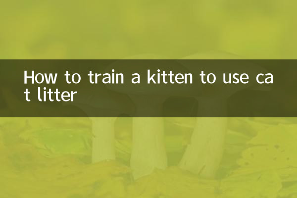 Cómo entrenar a un gatito para que use arena para gatos