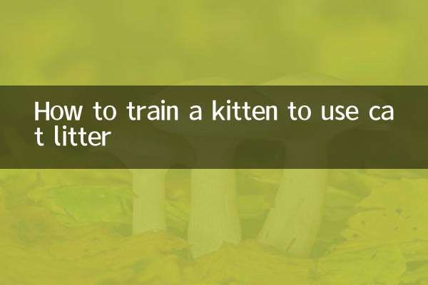 子猫に猫砂の使い方を訓練する方法