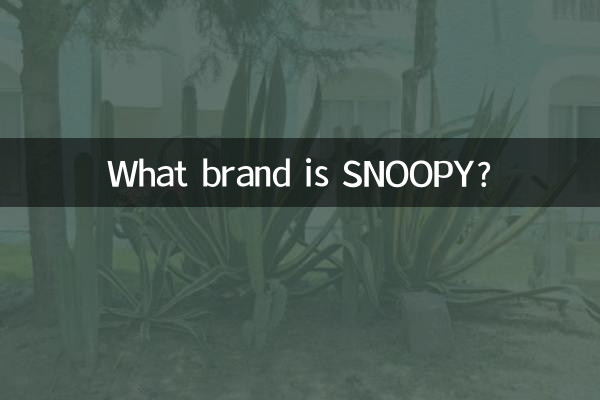 ¿Qué marca es SNOOPY?