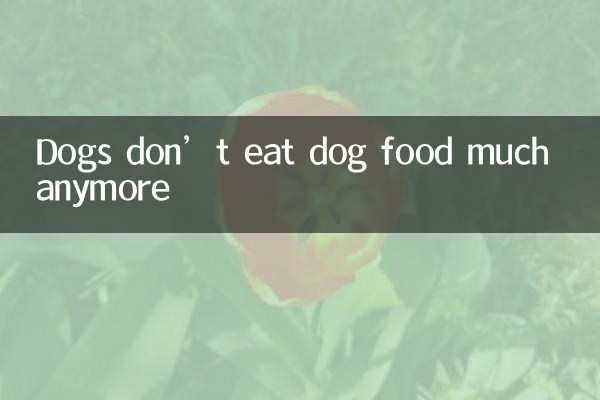 I cani non mangiano più molto cibo per cani