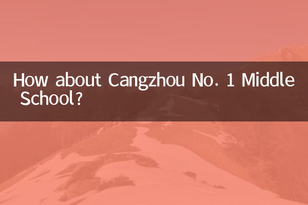 沧州一中怎么样