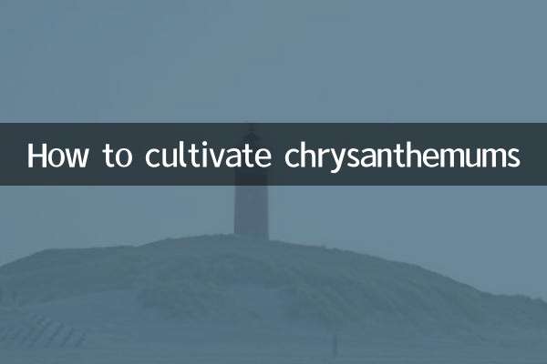 菊花怎麼栽培