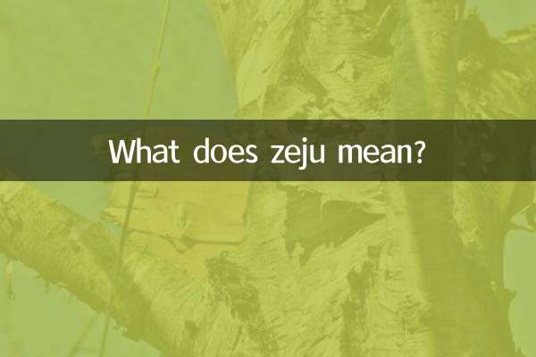 ماذا يعني زيجو