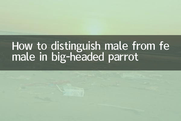 頭の大きなオウムのオスとメスの見分け方
