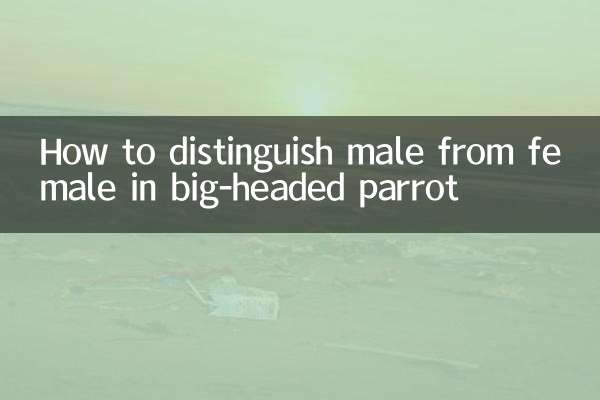 頭の大きなオウムのオスとメスの見分け方