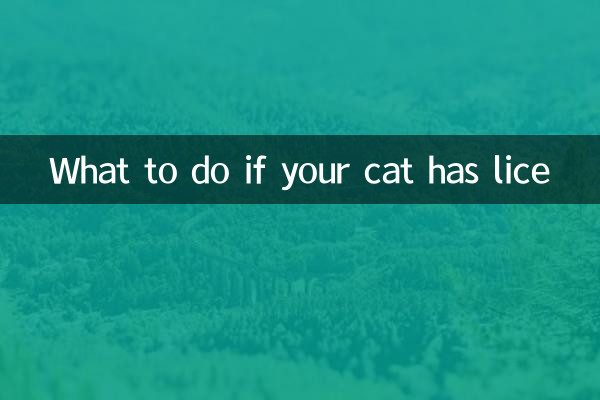 貓貓長蝨子怎麼辦