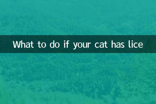 猫にシラミがいたらどうするか