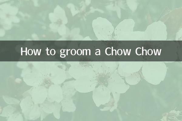 Как ухаживать за чау-чау