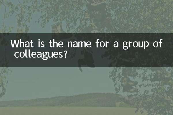 Wie nennt man eine Gruppe von Kollegen?