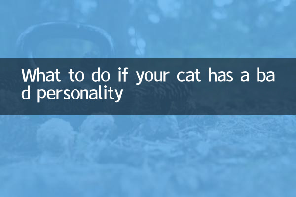 猫咪性格不好怎么办