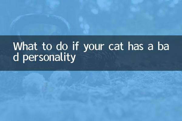 猫咪性格不好怎么办