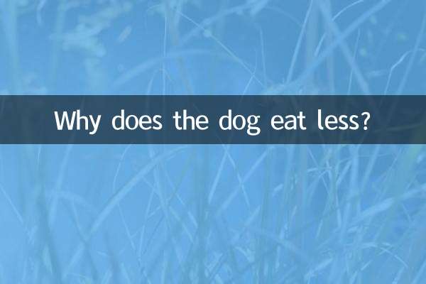 狗狗吃的少是怎麼回事