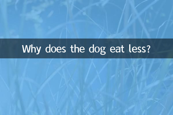 狗狗吃的少是怎麼回事