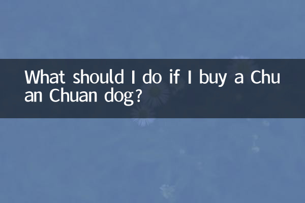 अगर मैं चुआन चुआन कुत्ता खरीदूं तो मुझे क्या करना चाहिए?