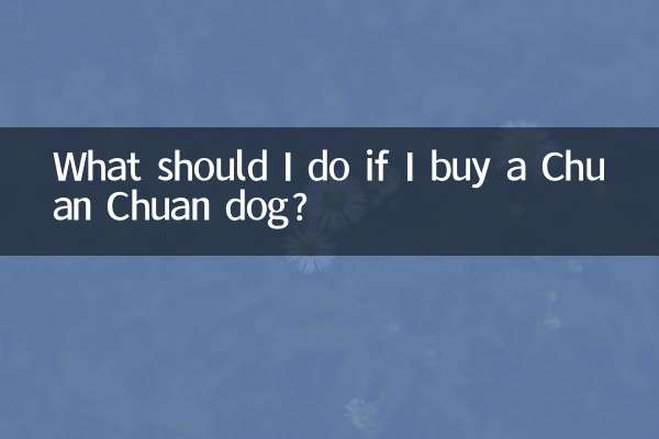 Cosa devo fare se compro un cane Chuan Chuan?