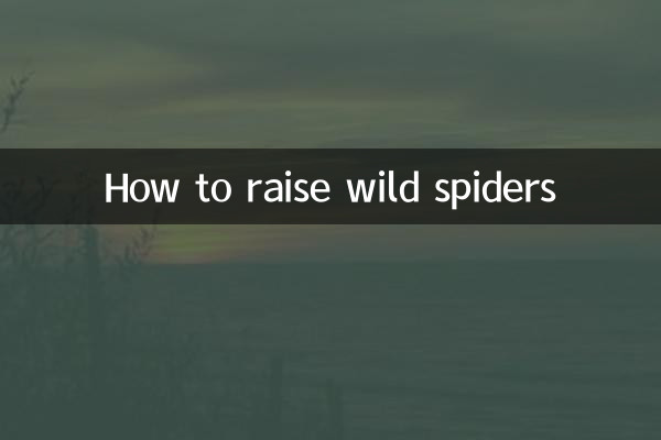 كيفية تربية العناكب البرية