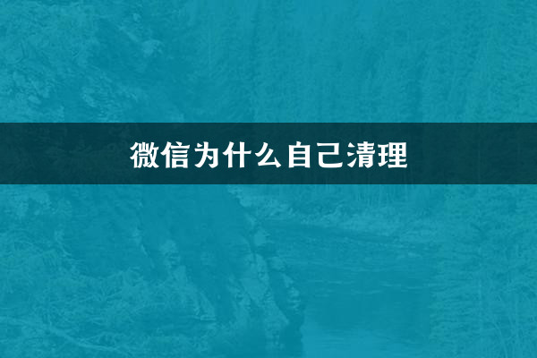 Por que o WeChat se limpa?