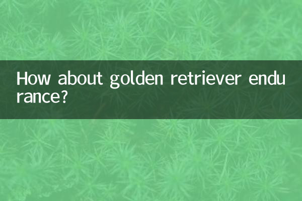 Wie wäre es mit der Ausdauer des Golden Retrievers?