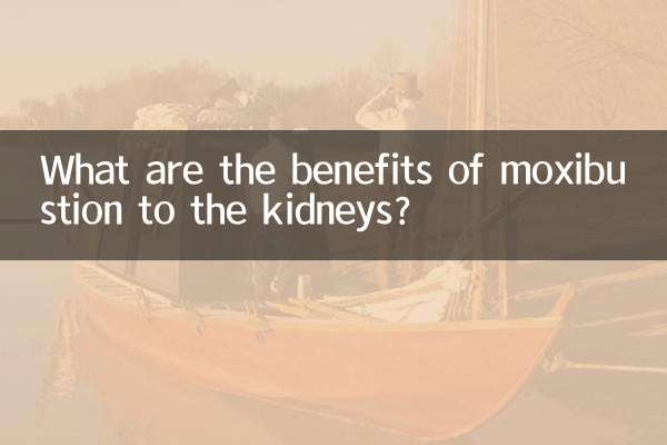 ¿Cuáles son los beneficios de la moxibustión para los riñones?