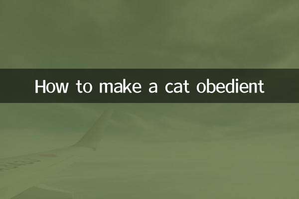 How to make a cat obedient