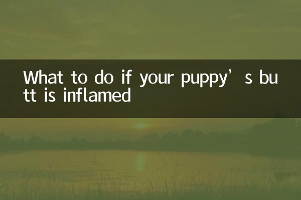 What to do if your puppy’s butt is inflamed