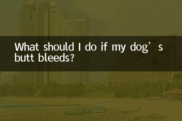 यदि मेरे कुत्ते के बट से खून बह रहा हो तो मुझे क्या करना चाहिए?