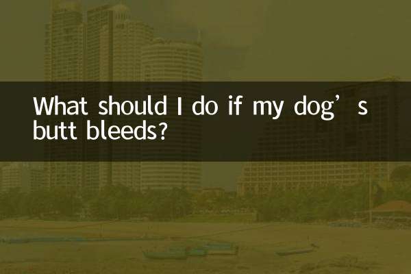 Что делать, если у собаки пошла кровь из задницы?