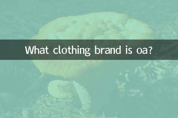 oa چه مارک پوشاکی است؟