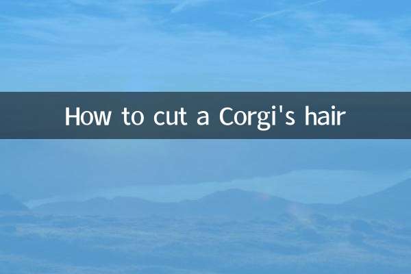 How to cut a Corgi's hair
