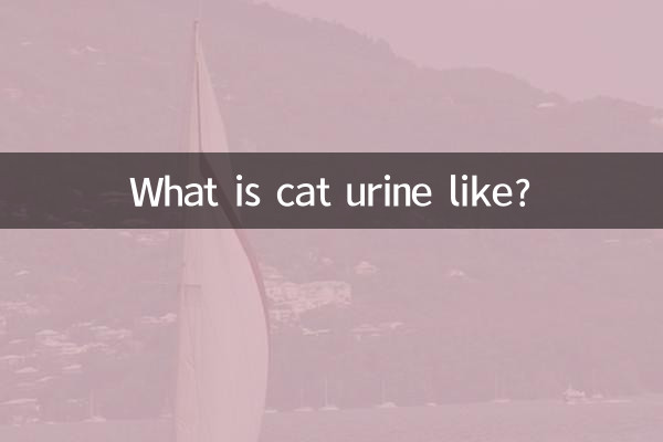 What is cat urine like?