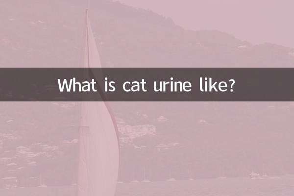 What is cat urine like?