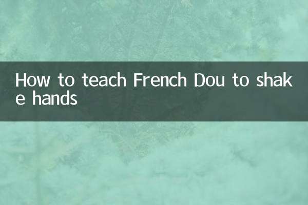 How to teach French Dou to shake hands
