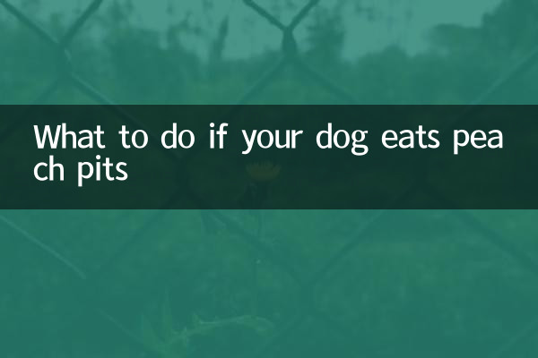 আপনার কুকুর যদি পীচ পিট খায় তাহলে কি করবেন