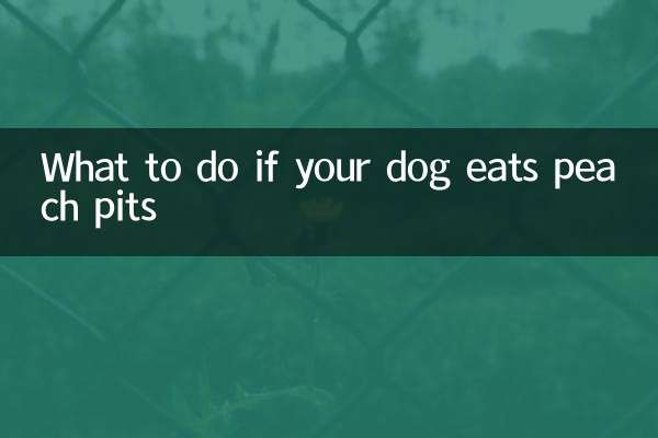 O que fazer se seu cachorro comer caroços de pêssego