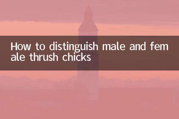 كيفية التمييز بين الذكور والإناث فراخ القلاع