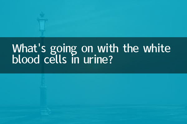 尿白细胞怎么回事