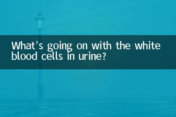 尿白细胞怎么回事