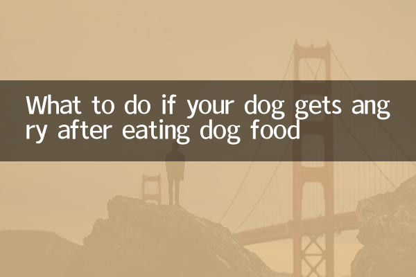 犬がドッグフードを食べて怒った場合の対処法