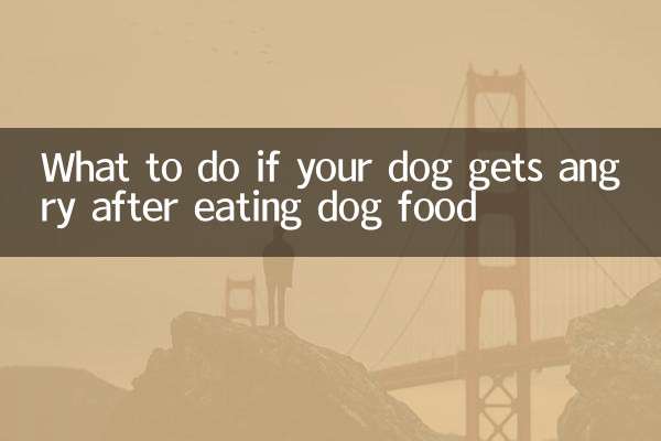 Was tun, wenn Ihr Hund nach dem Verzehr von Hundefutter wütend wird?