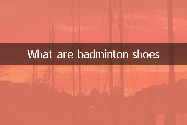 ¿Qué son los zapatos de bádminton?