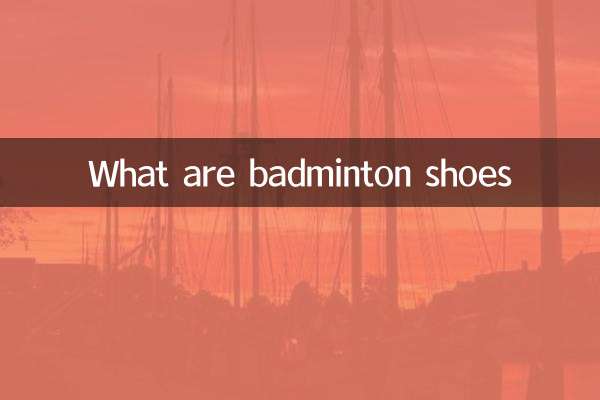 ¿Qué son los zapatos de bádminton?
