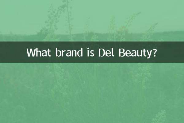 ما هي ماركة ديل بيوتي؟