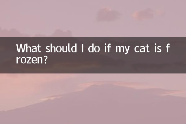 Que dois-je faire si mon chat est gelé ?