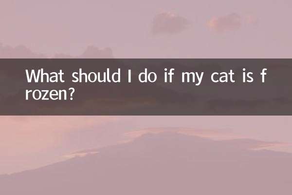 Cosa devo fare se il mio gatto è congelato?