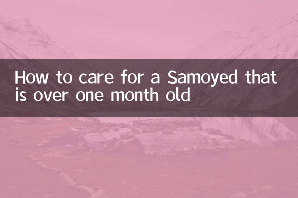 So pflegen Sie einen Samojeden, der älter als einen Monat ist