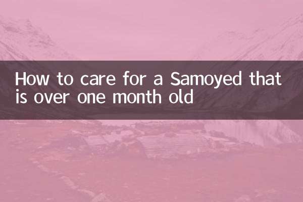 So pflegen Sie einen Samojeden, der älter als einen Monat ist