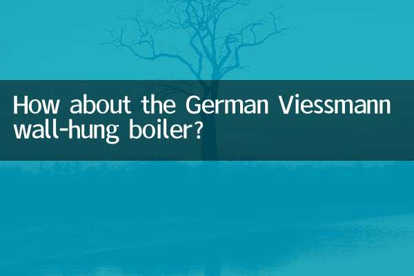 জার্মান ভিসম্যান ওয়াল-হ্যাং বয়লার সম্পর্কে কেমন?