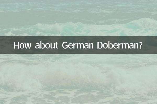 독일 도베르만은 어떻습니까?