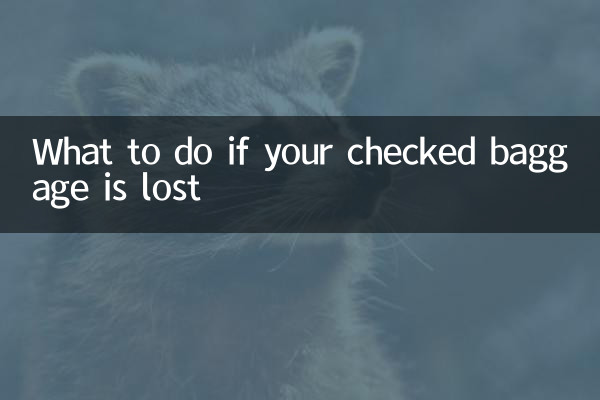 Что делать, если зарегистрированный багаж потерян